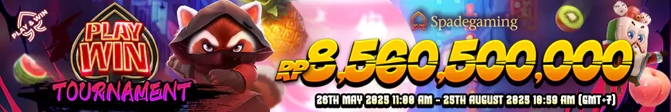 Playwin Tournament